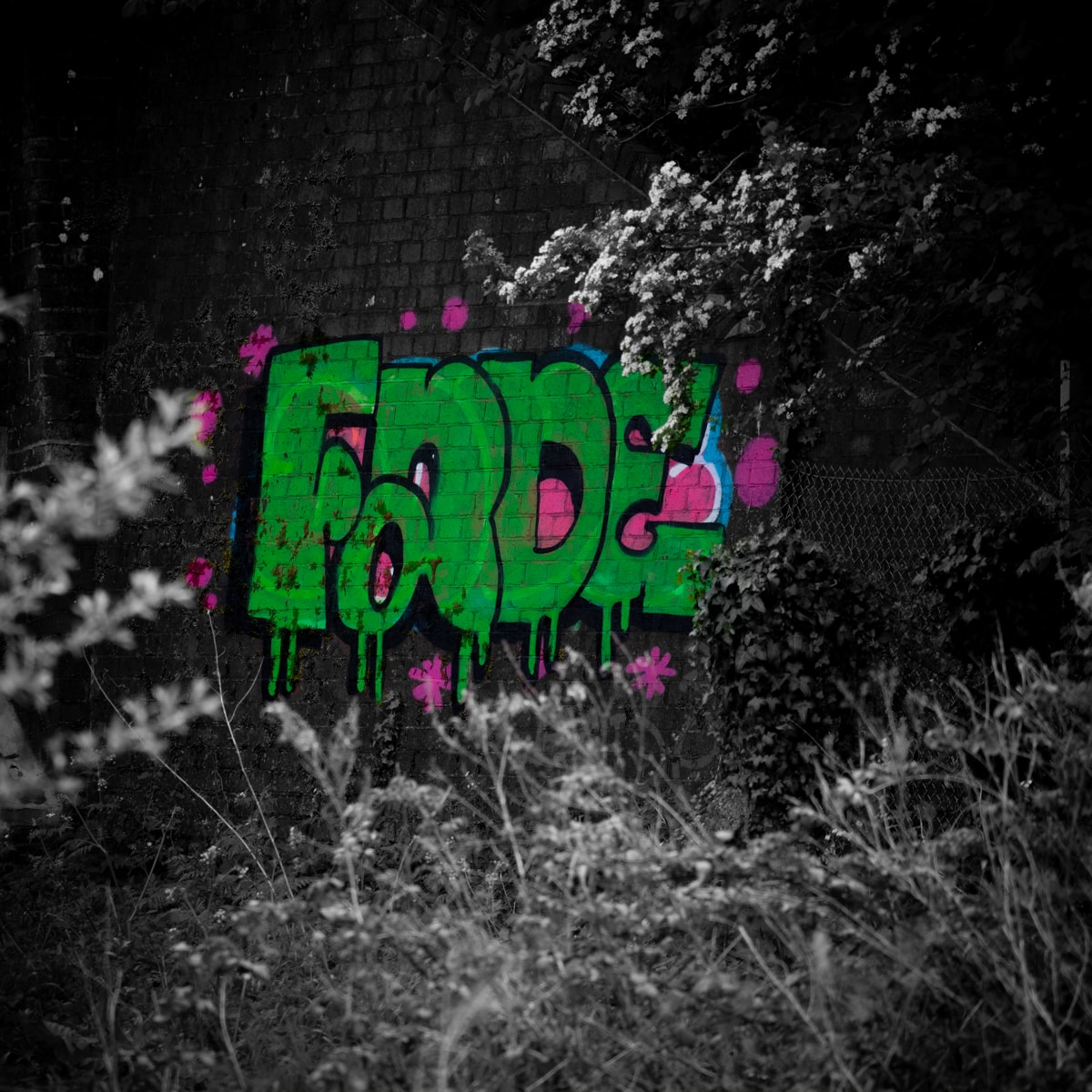  Some brightly coloured graffiti depicted in a desaturated photograph